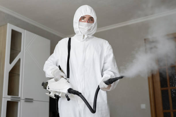 Best Commercial Mold Inspection  in Youngsville, NC